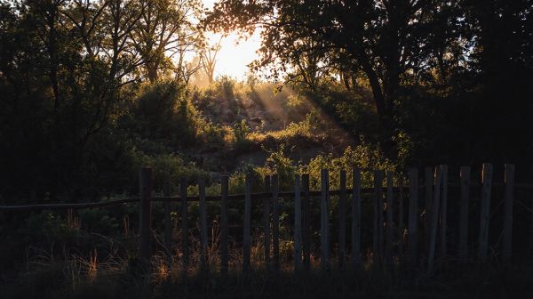 Droits et solutions pour un terrain enclavé : Nos conseils