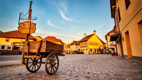 Top ressources pour le curage en Suisse romande